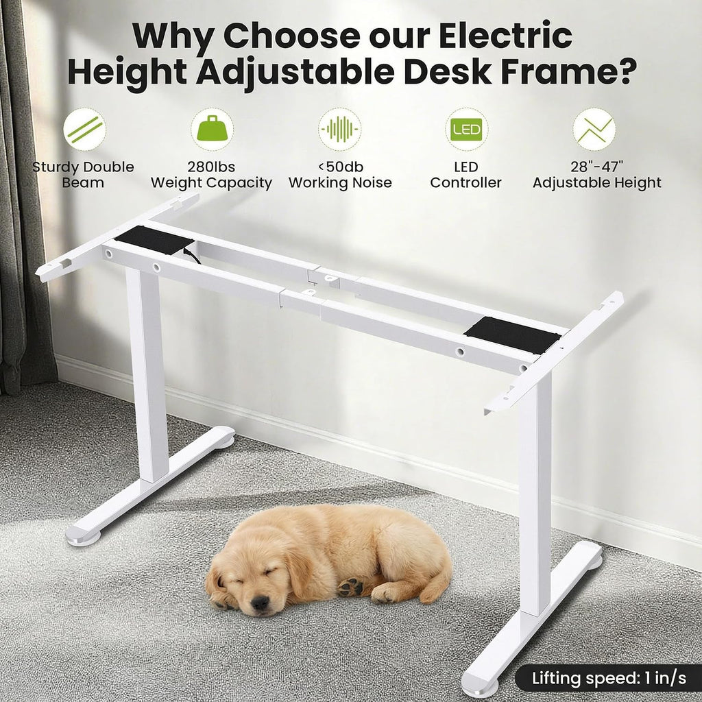 Dual Motor Electric Standing Desk Frame, Heavy Duty Dual-Beam Frame | Heavy-Duty Dual-Beam Frame Desk Legs, Fits Up