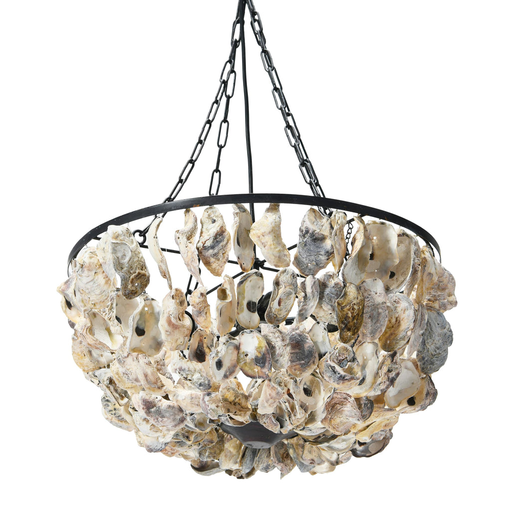 Round Oyster Shell Chandelier with 2 Lights