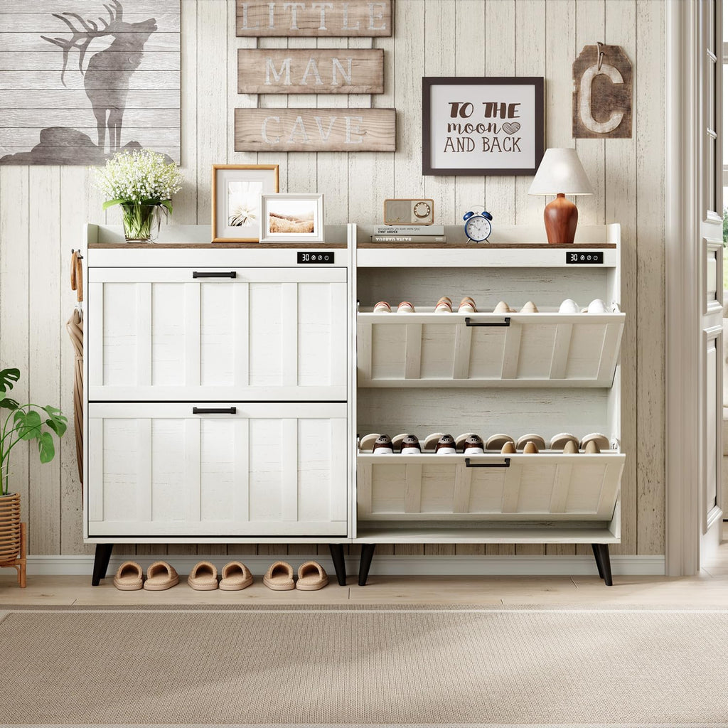 Shoe Storage Cabinet with 2 Flip Drawers, Deodorizing Shoe Organizer Storage , Freestanding Hidden Slim Narrow Shoe