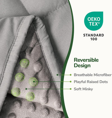 Minky Weighted Blankets for Adults 15lbs, with Sherpa Fleece Reversible Heavy Throw, Queen Size,Weighted Blanket for