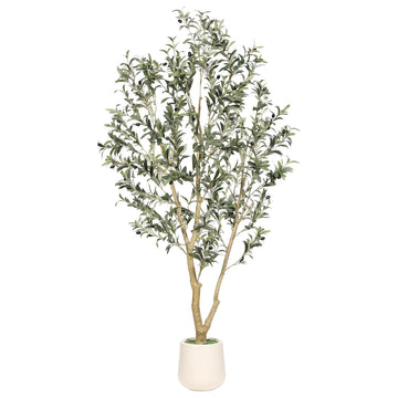6ft Olive Trees Artificial Indoor with White Tall Planter