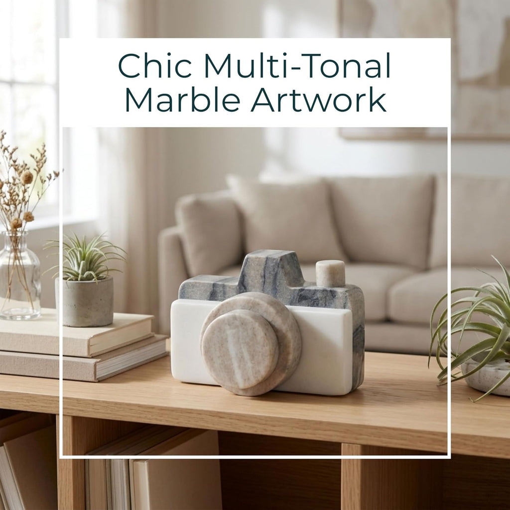5-Inch Multi Marble Camera Decorative Object