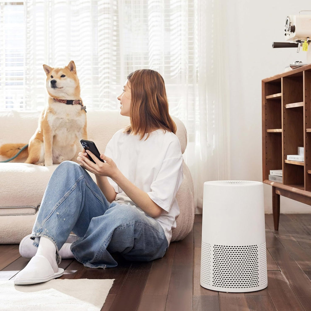 Air Purifier for Home and Office, With Activated Carbon, 3 Speeds, Timer, Sleep Mode (32db), Energy 