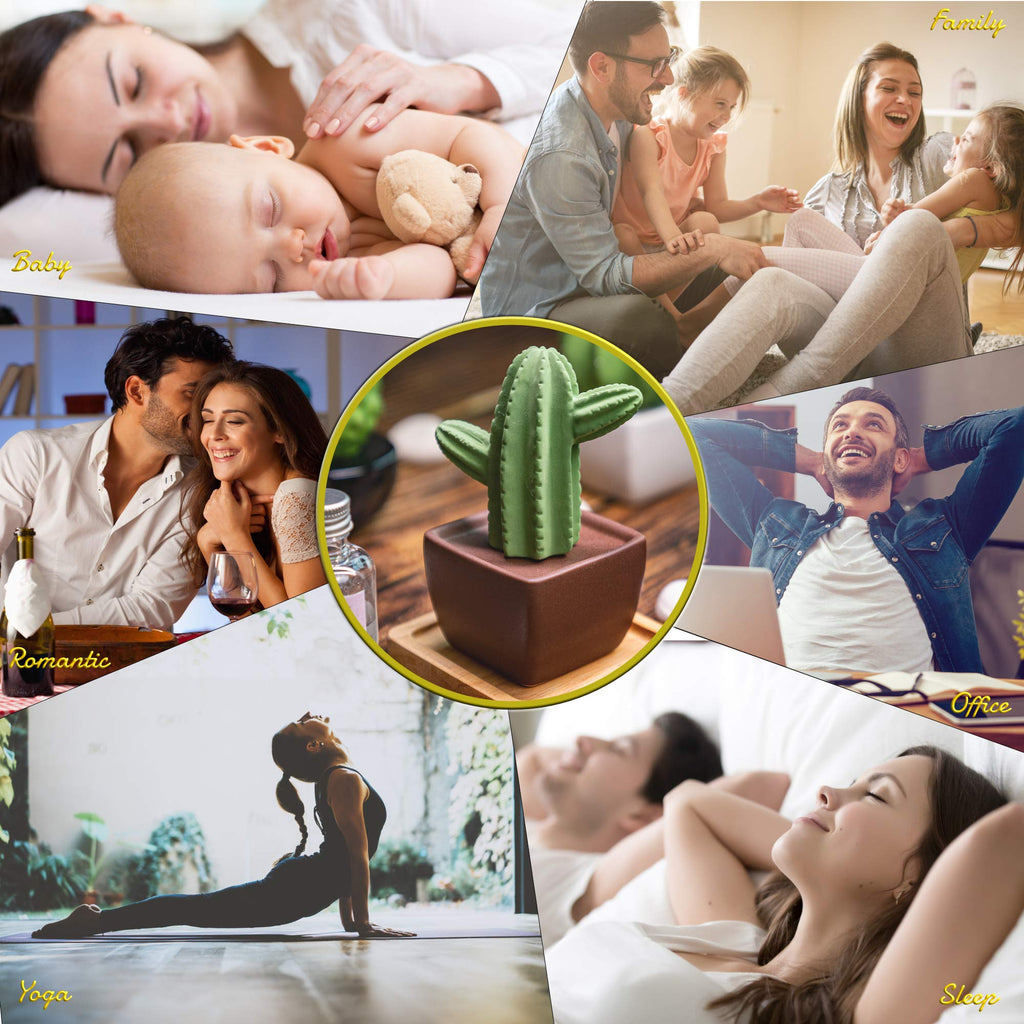 Maxi Cactus, Non-Electric Ceramic Diffusers for Essential Oils and Aromatherapy Fragrance, White Ceramic Diffusers in
