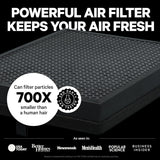400 HEPA Air Purifier for Home Large Rooms - Covers 2,000 Sq Ft - Filters Up to 99.9% of Pollutants,