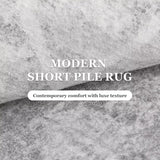 Vamcheer Modern Area Rug 5x7 - Upgraded 10mm Thick Sponge for Exceptional Comfort
