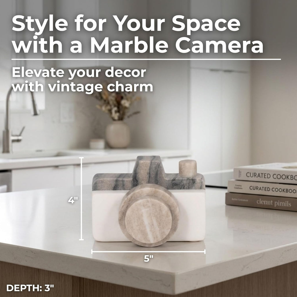 5-Inch Multi Marble Camera Decorative Object