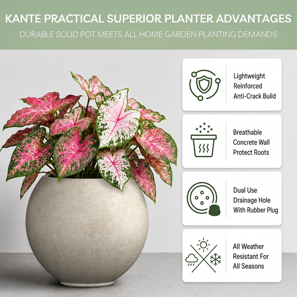 Accent Round Sphere Weathered Concrete Planter 19.3" Dia, Outdoor | Rubber Plug for Indoor, Drainage for Garden