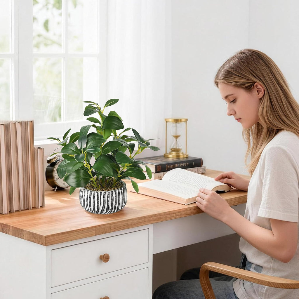Artificial Plants Succulents with Fig Leaf Greenery in Rustic Clay Planter | Fake Plants Potted Decor Desk and Coffee