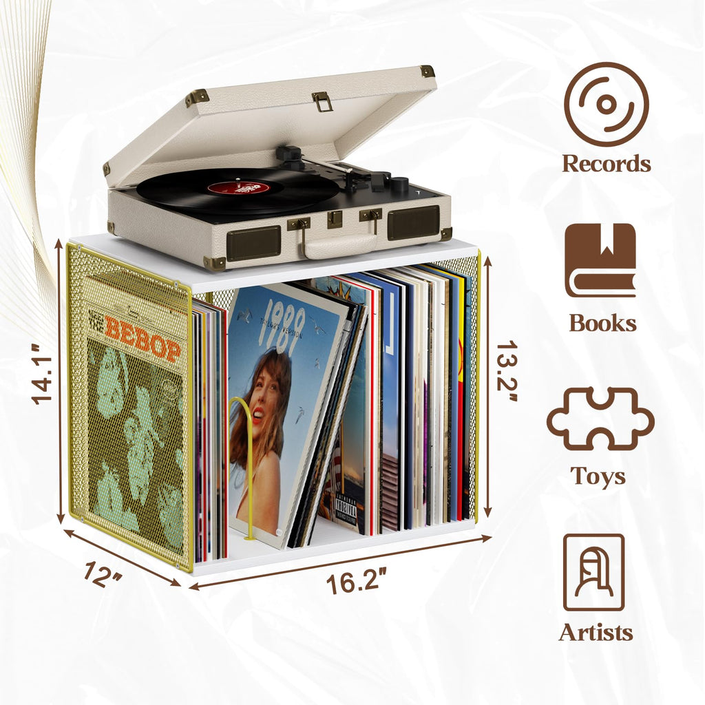 1 Cube Vinyl Record Storage, Wooden Stackable Record Crate, White & Gold