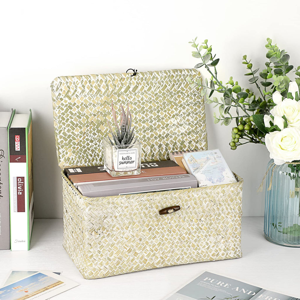 Wicker Shelf Baskets Bin with Lid, Large Seagrass Basket Storage Box