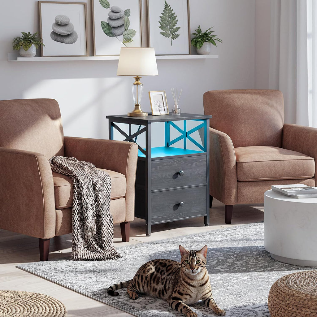 Nightstands Set of 2 with Charging Station, LED Night Stand with 2 Storage Drawers, End Tables with USB Ports and