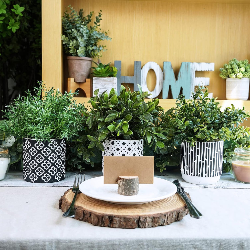 3-Pack Artificial Potted Plants - Faux Eucalyptus, Rosemary, Boxwood Greenery in Small Black & White Geometric