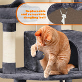 62.5inches Cat Tree Cat Tower Cat Condo with Platform & Hammock
