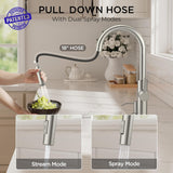 Kitchen Faucet with Pull Down Sprayer, Classic Brushed Nickel