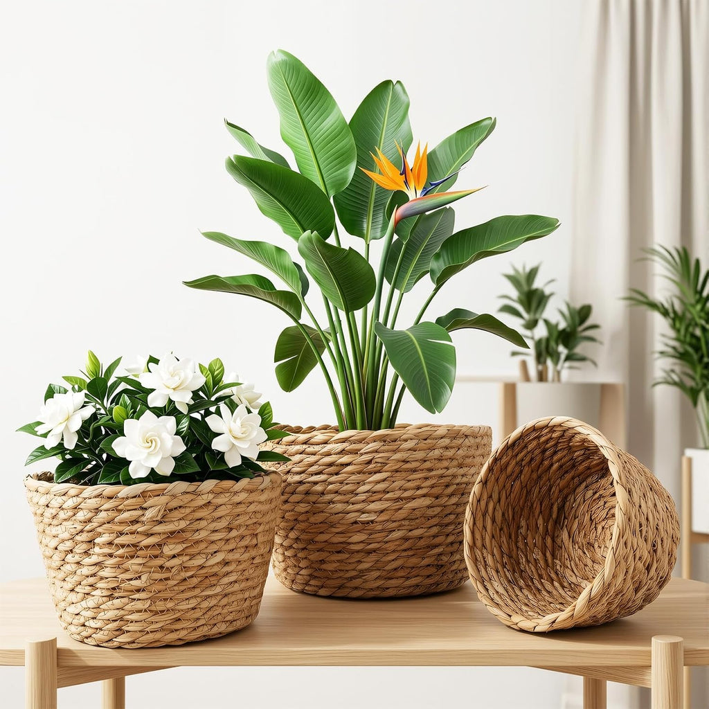 Round Woven Basket Set, 3 Decorative Storage Baskets | Three nesting round woven baskets add open storage and natural