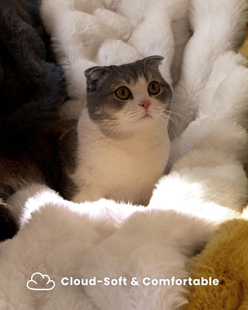 Ultra Soft Cozy Faux Fur Throw Blanket, Fuzzy Plush Thick Bubble Blanket, Luxury Fluffy Blanket, and Living Room