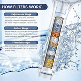 Filtered Shower Head with Handheld, High Pressure 7-Spray Showerhead with Filters for Hard Water