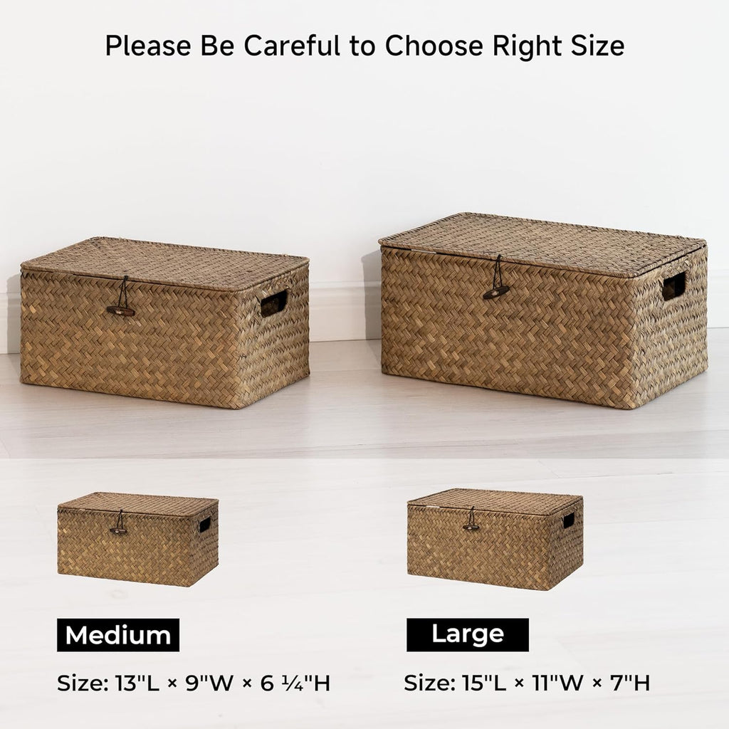 Wicker Baskets with Lid for Organizing, Seagrass Storage Baskets for Shelves, Decorative Box with Built-in Handles