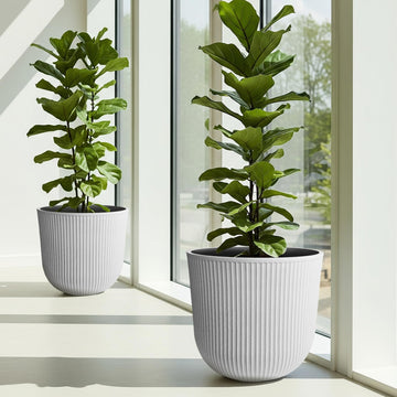 Plastic Round Large Planters, Set of 2 White Plant Pots