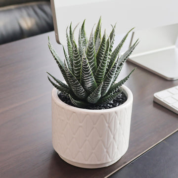 6.7'' High Artificial Succulents, Succulents Plants Artificial