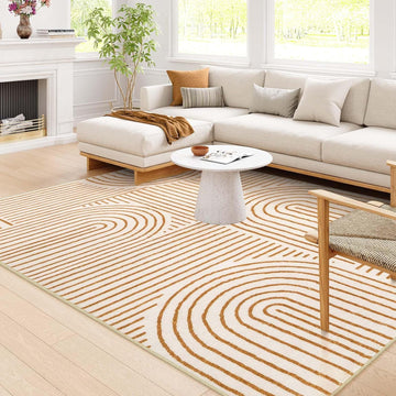 Abstract 10x14 Area Rugs