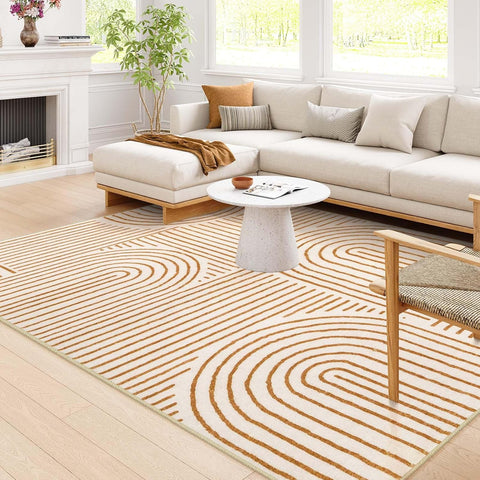 Abstract 10x14 Area Rugs
