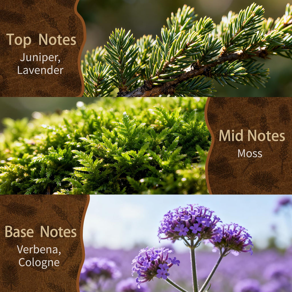 Reed Diffuser Set, Lavender Scent Diffuser with 10 Sticks & Decorative Flower, Long Lasting Diffusers Fragrance