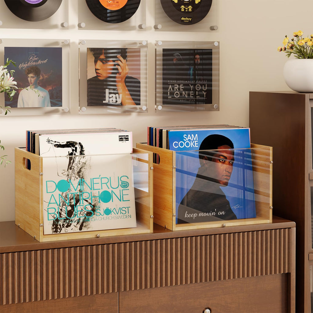 Vinyl Record Storage Crate, Visible Vinyl Record Holder