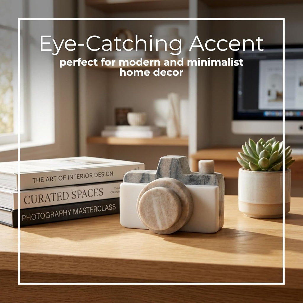 5-Inch Multi Marble Camera Decorative Object