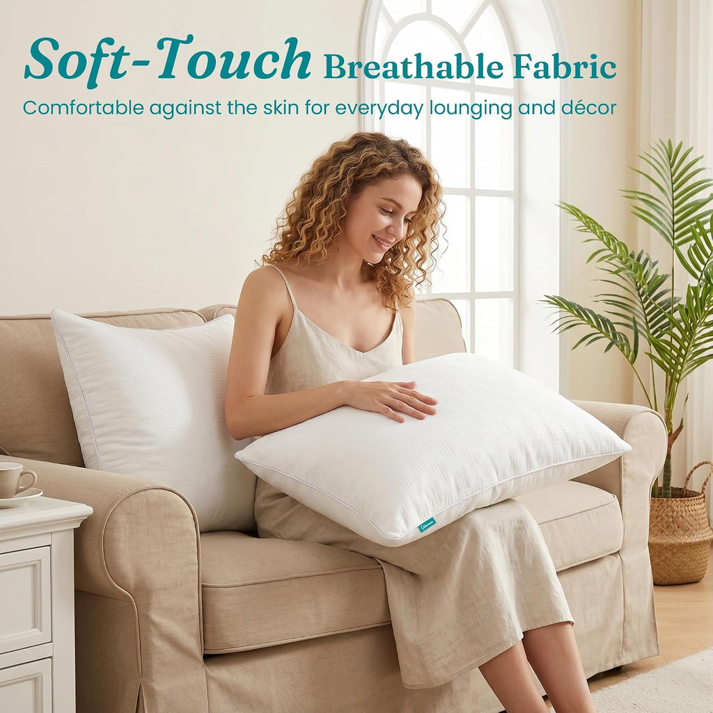 Throw Pillow Inserts 22x22, Decorative Throw Pillows - Set of 2