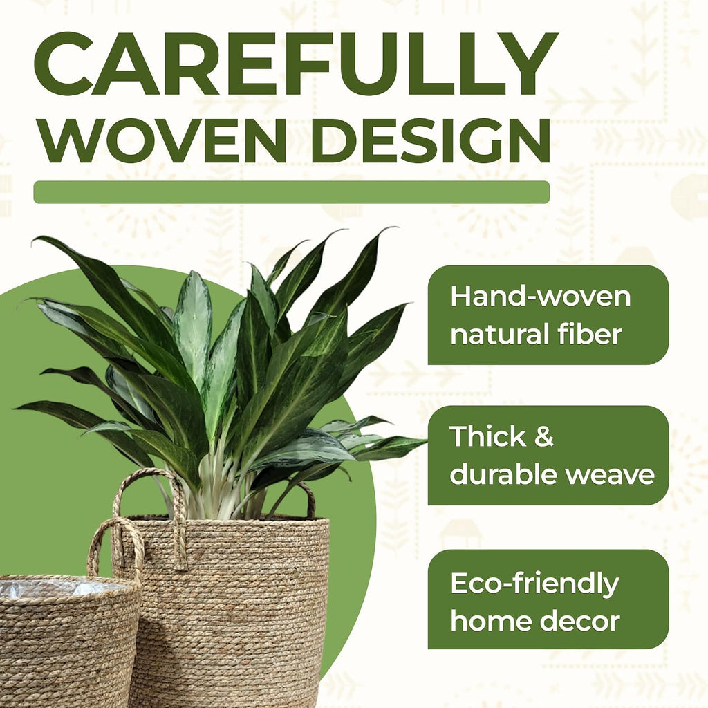 Set of 2 Woven Seagrass Planter Baskets with Handles - Handwoven Plant & Flower Pots for Indoor or Outdoor Use