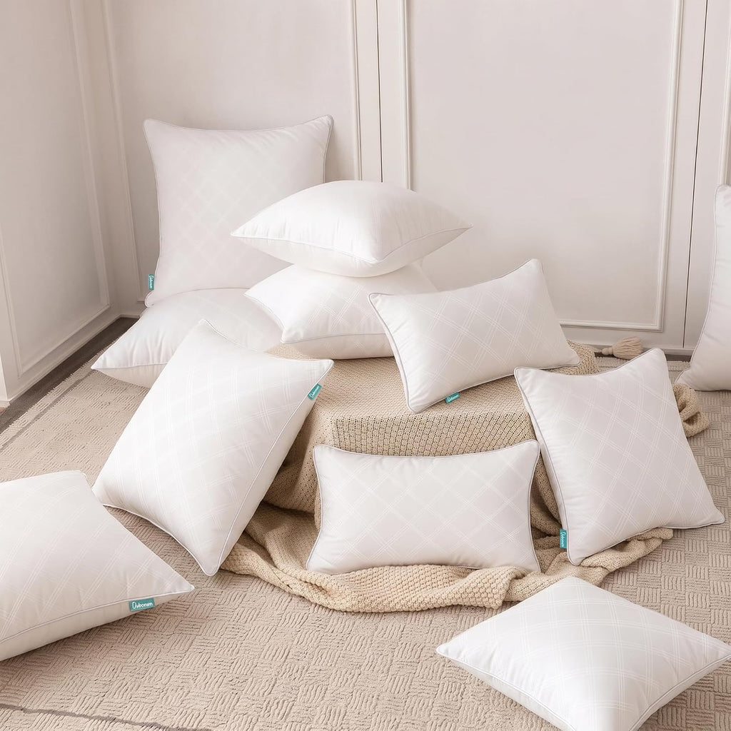 20x20 Throw Pillow Inserts, Soft Decorative Couch Cushion - Set of 2