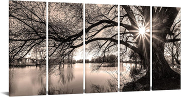 Extra Large 5 Piece Wall Art Old Tree by Lake Picture Canvas Prints Sepia Brown Sunrise Landscape Painting Art Modern