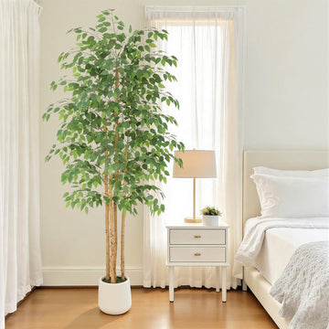 7ft Artificial Ficus Tree with White Decorative Planter & Multiple Real Wood Trunks, 84in Fake Ficus Tree with