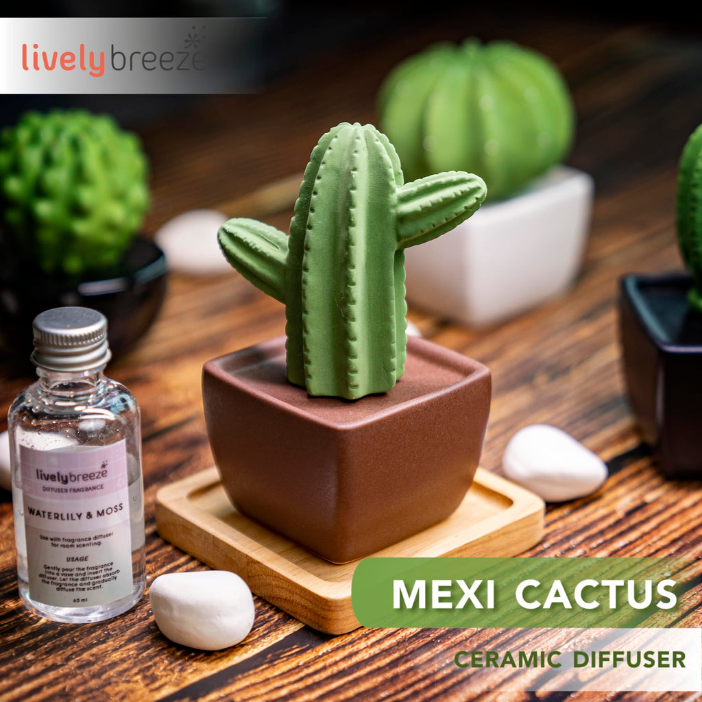 Maxi Cactus, Non-Electric Ceramic Diffusers for Essential Oils and Aromatherapy Fragrance, White Ceramic Diffusers in
