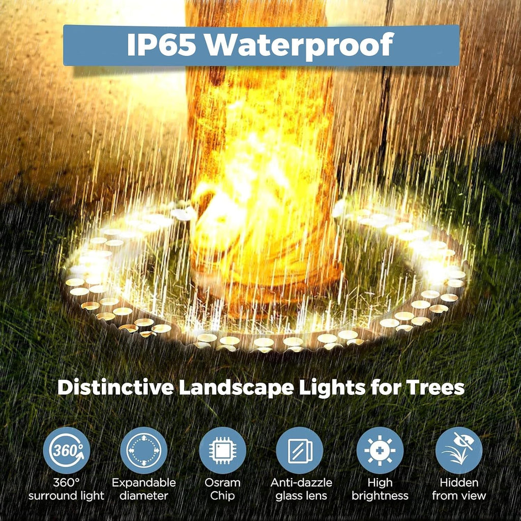 Outdoor Ring Tree Lights, 72W LED Landscape Uplighting for Trees, 3000K Warm White, Low Voltage IP65 Waterproof