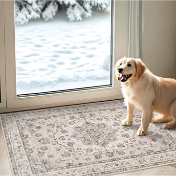 Washable 2x3 Entryway Area Rug: Vintage Non-Slip Backing Rugs Bathroom Water Resistant Carpet Soft Low Pile Front