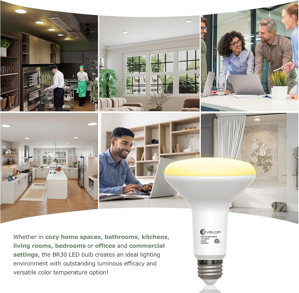 12 Pack BR30 Flood LED Light Bulbs 65W Equivalent, 7W Energy Efficient, Dimmable 800LM Bulbs 2700K Warm White, E26