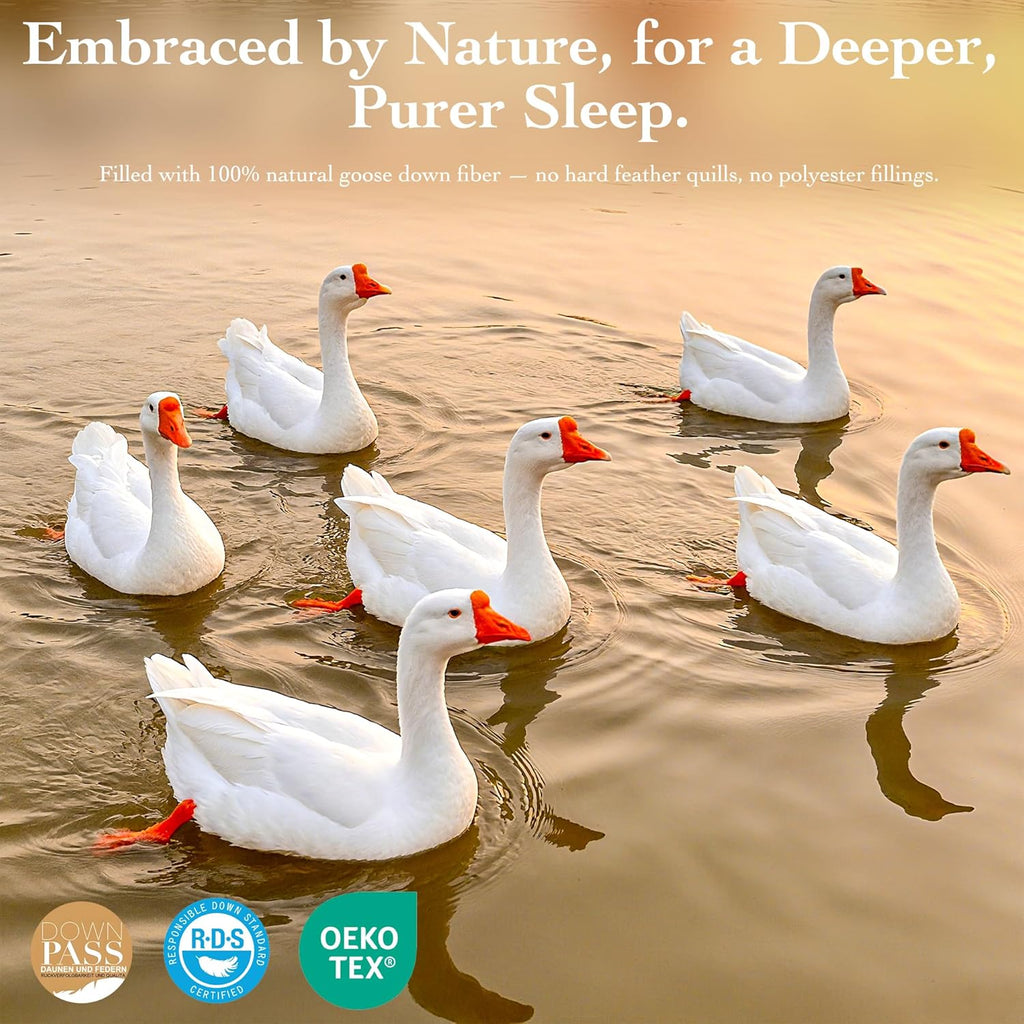 Goose Down Fiber Comforter King - All Season Naturally Breathable Down Comforters
