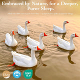 Goose Down Fiber Comforter Queen - All Season Naturally Breathable Down Comforters