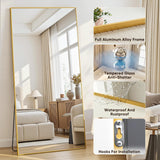 Full Length Mirror, 58"x21" Floor Mirror with Stand, Hanging Mounted Mirrors , Cloakroom, Dining Room, Gold, Rect