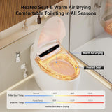 Smart Toilet with Warm Water Sprayer and Dryer