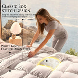 Queen White Goose Feather Down Fiber Comforter -100% Cotton Shell All Season Duvet Insert,Luxury Hot