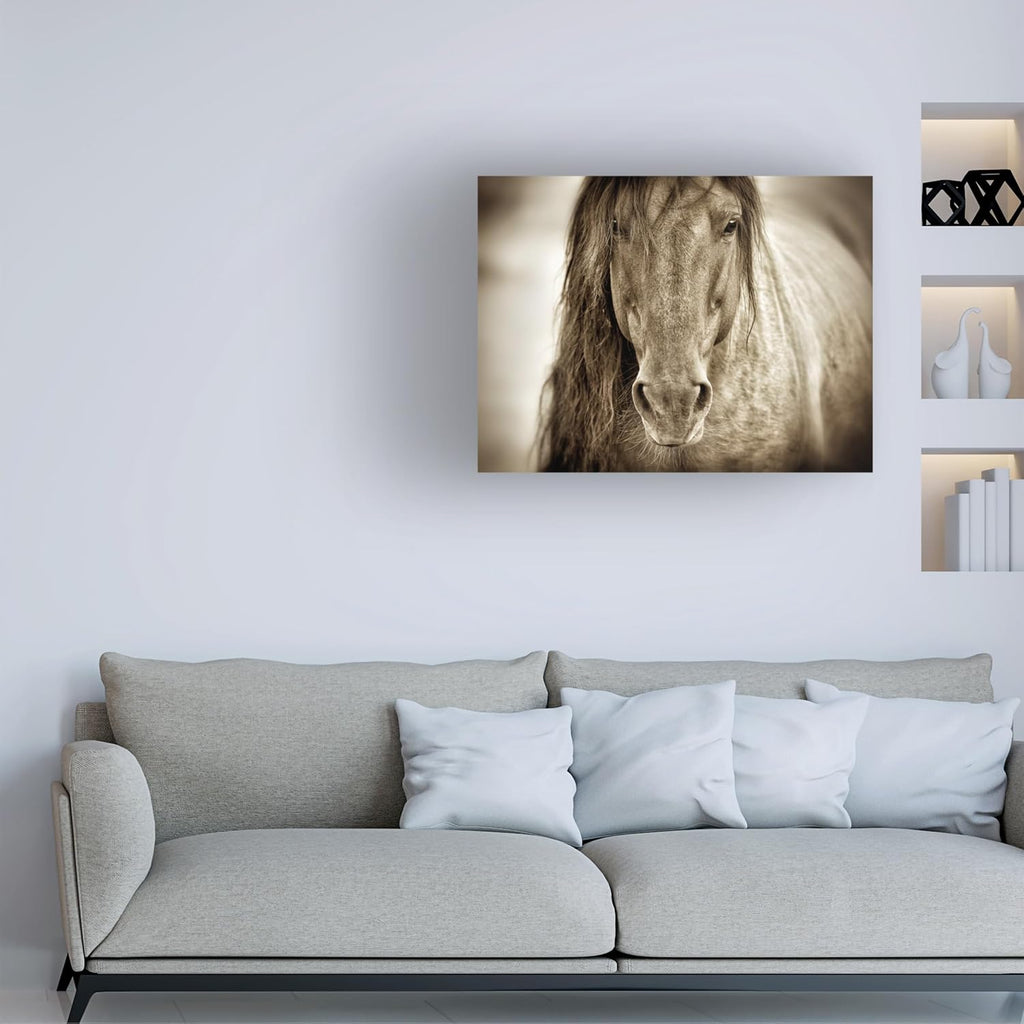 Wrapped Canvas Wall Art - Lisa Dearing 'Mustang Sally Horse' Wall Art , or Office Décor - 18x24