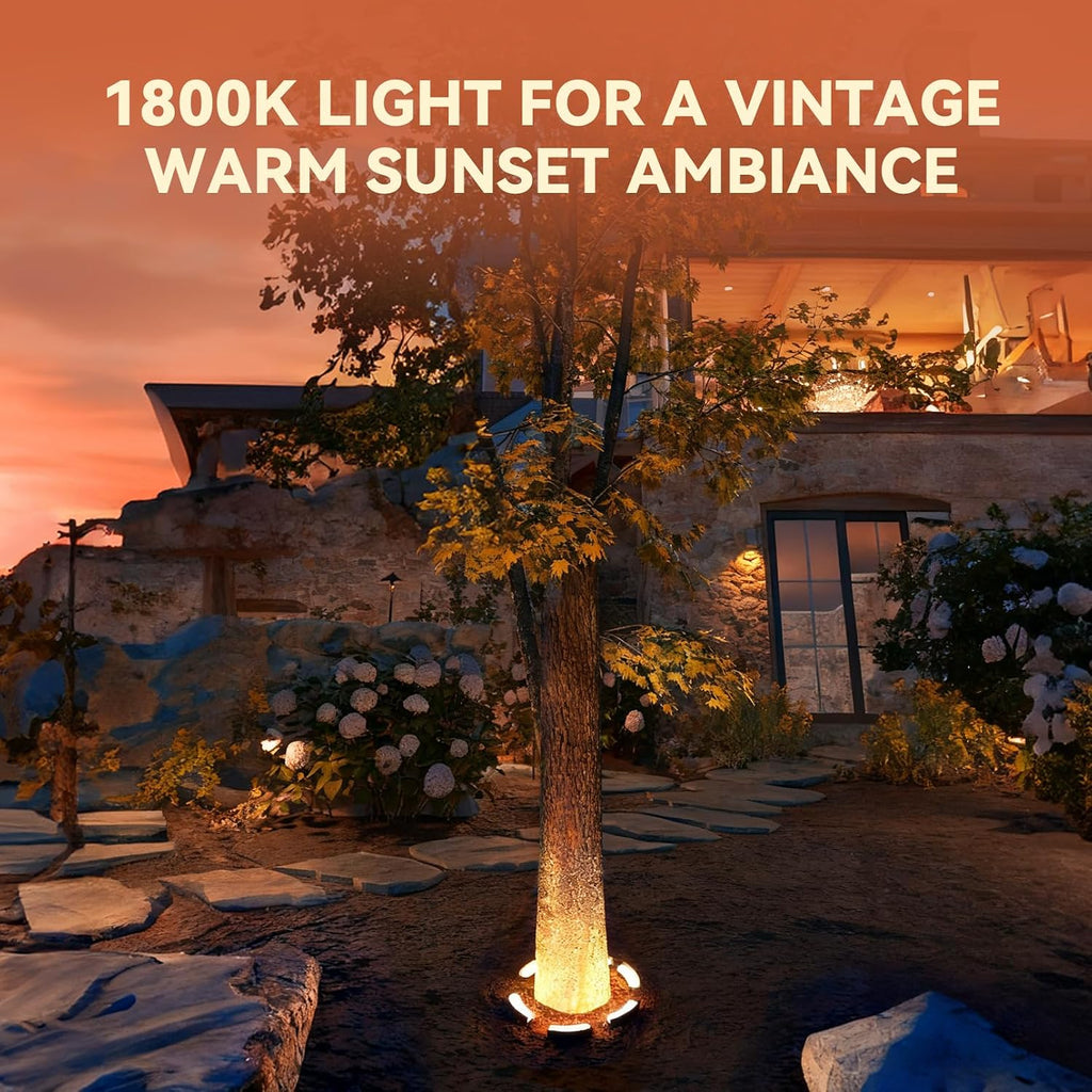 Update 5CCT Low Voltage Landscape Tree Ring Lights, AC/DC 12-24V, 750LM 11W/PCS Aluminum IP65 Landscape Spotlights