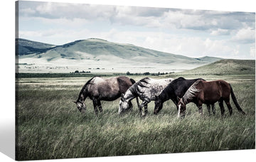 Rustic Horse Canvas Wall Art: Farmhouse Horses Picture Vintage Wild Animal Grazing on Grass Painting Print Country
