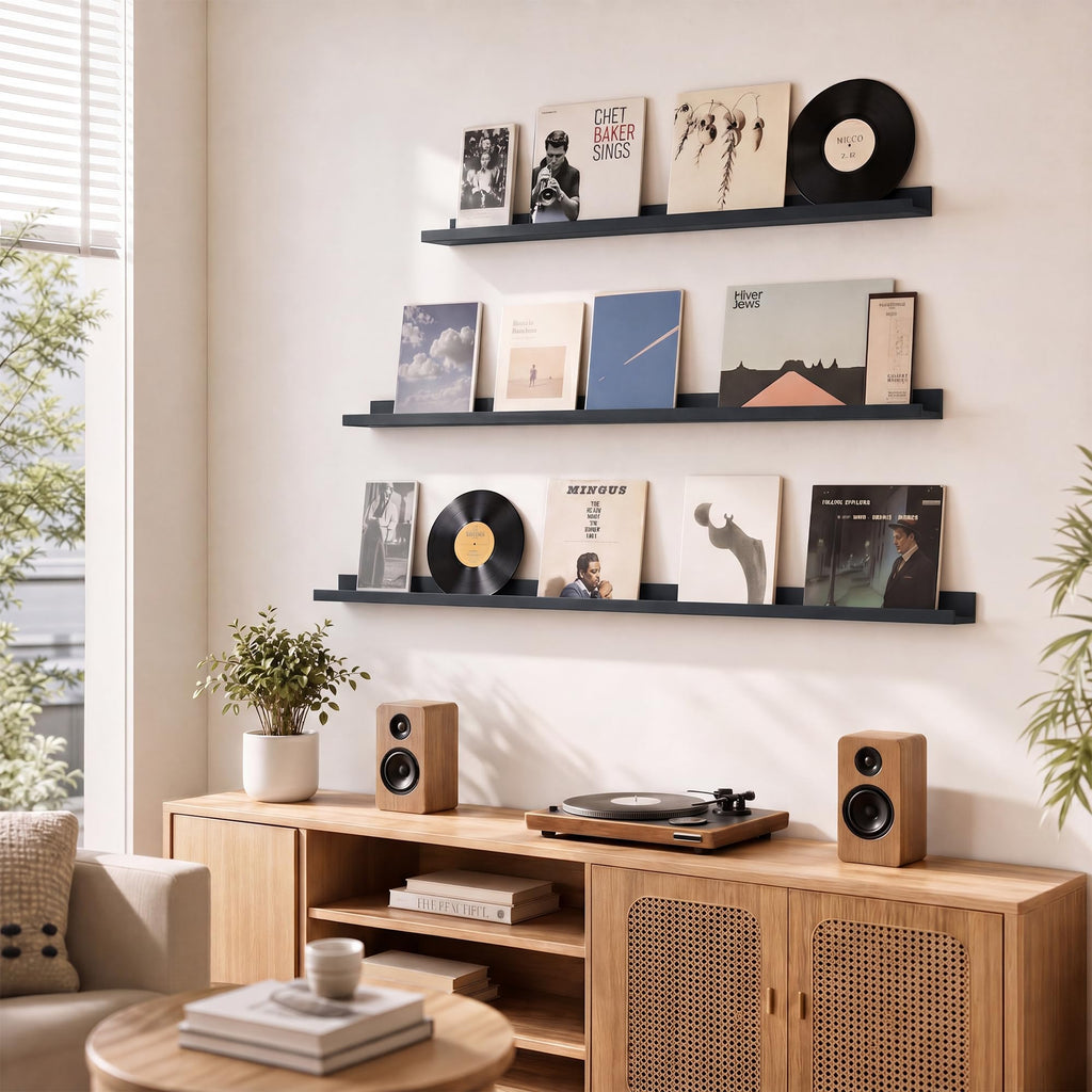 Picture Ledge Shelf for Wall, Black Floating Shelves, 24 inch Long Floating Shelves with Lip, Set of 2