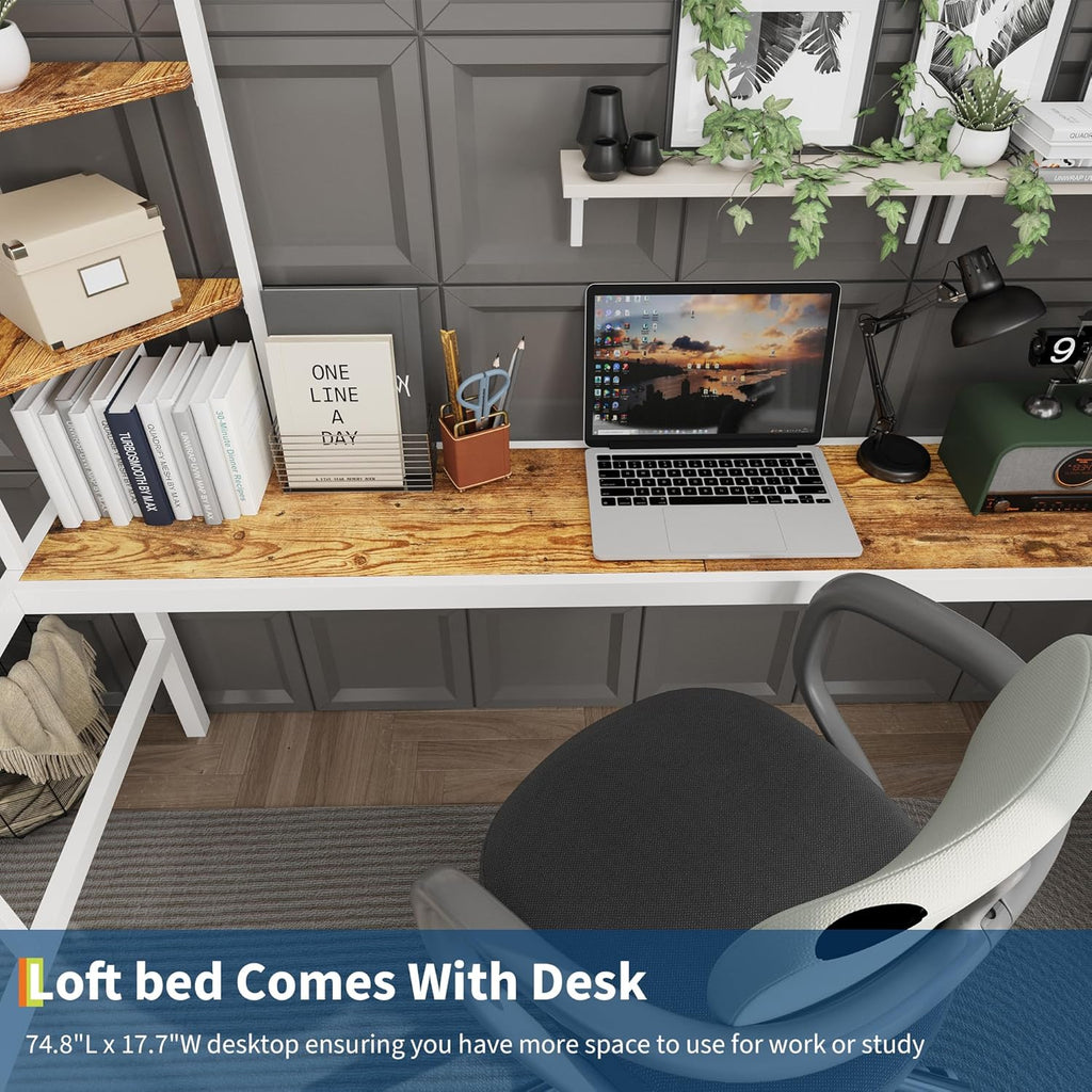 Twin Loft Bed with Large Desk and Storage Shelves