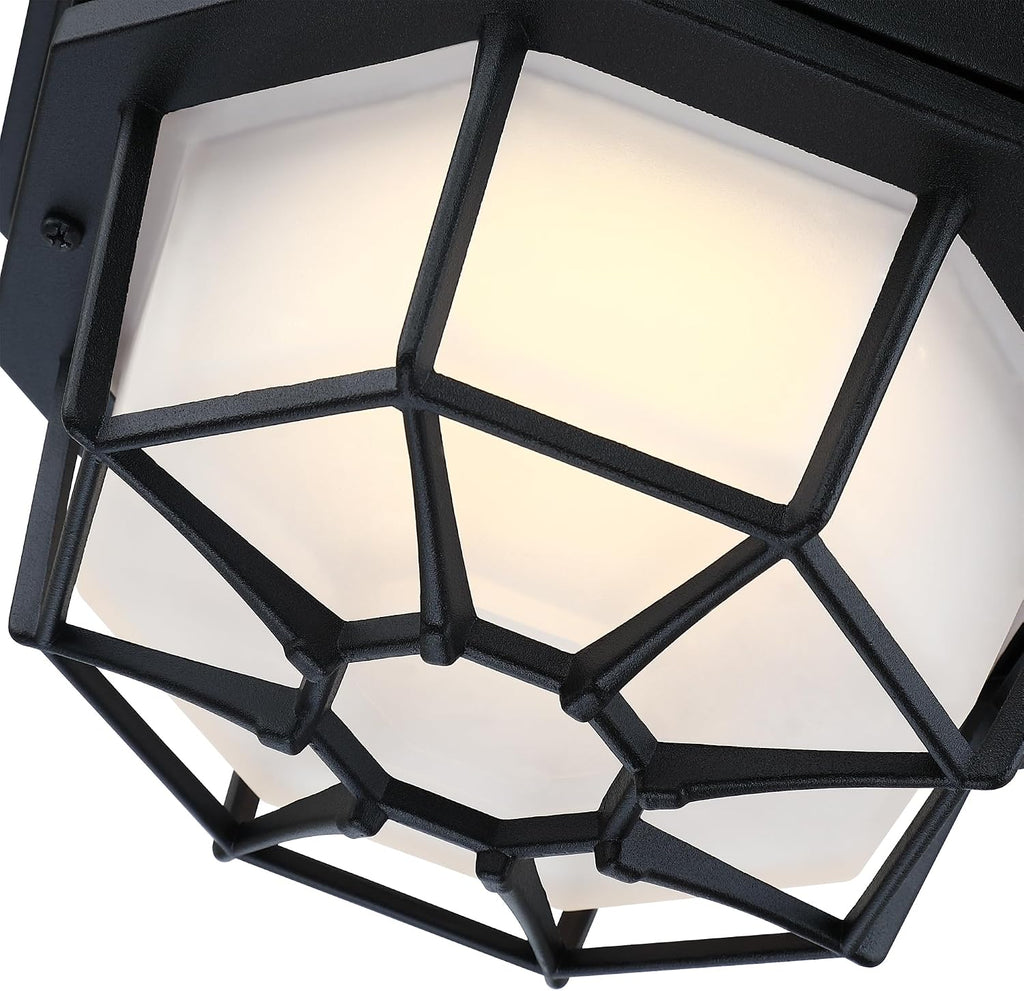 8.5” Black Flush Mount LED Ceiling Light 2700K 3000K 3500K 4000K 5000K Octagonal Outdoor Porch Lights Black 8.5inch